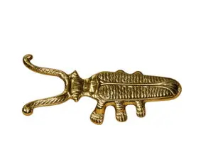 Gouden Laarzenknecht - kever