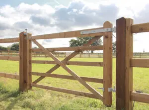 Engelse weidepoort - tanatone