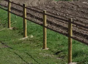 Budget lintafrastering