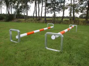 Cavaletti's voor spring of dressuurtraining