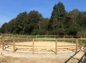 longeercirkel, longeerpiste, longeerbak