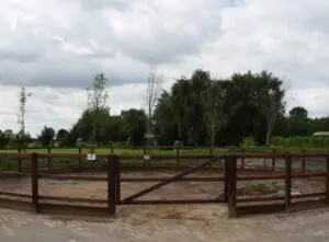 Longeerbak voor paard, geimpregneerd hout