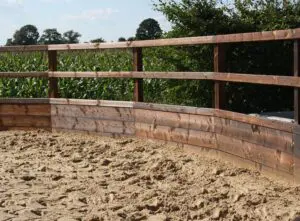 Professionele longeerbak