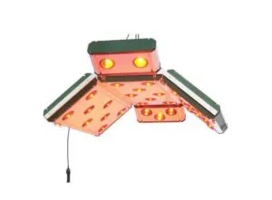 Solarium met lift - type 850