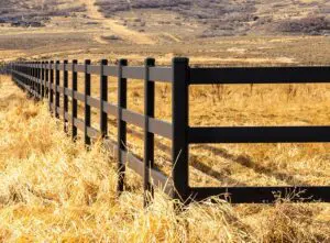 Stalen omheining - Buckley Fence