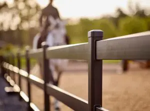 Stalen paardenomheining - buckley fence