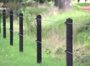 veilige afrastering paarden - permanentkabel