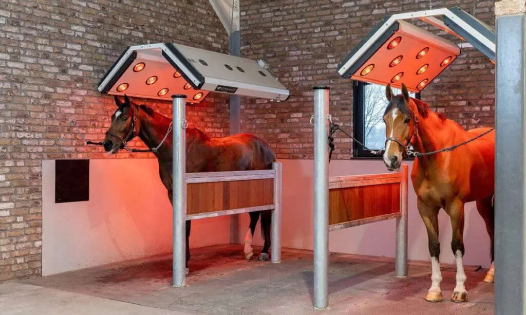 Blog voordelen van een paardensolarium