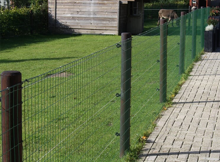 Ronde palen met gaas Beste kwaliteit Rutjes Paardenboxen