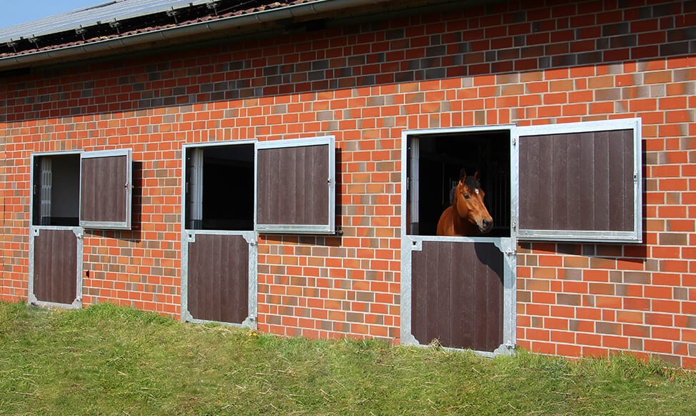 Staldeuren voor een paardenstal met paddocks