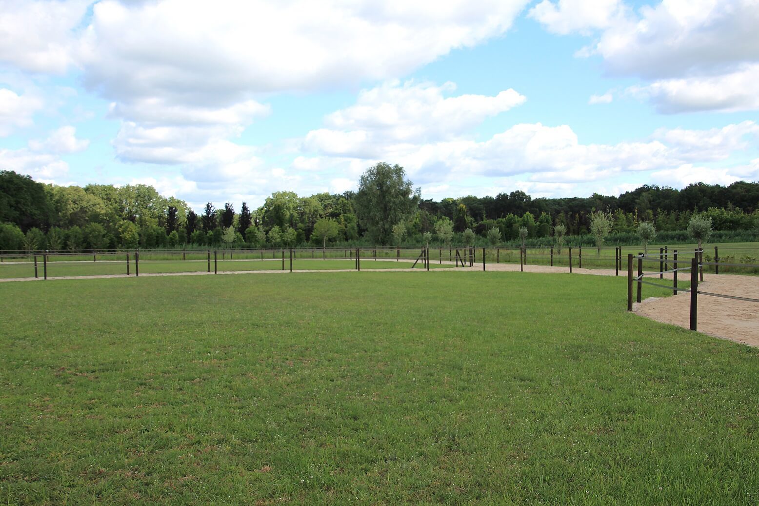 Weide paddocks - paddock paradise